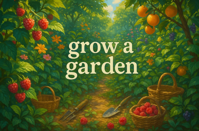 Grow A Garden Elder Strawberry Farming Tips