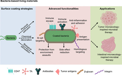 Step-by-Step Guide to Bacterial Protective Coverings